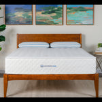 Mattress on a wooden bed frame with a plant and wall art in the background