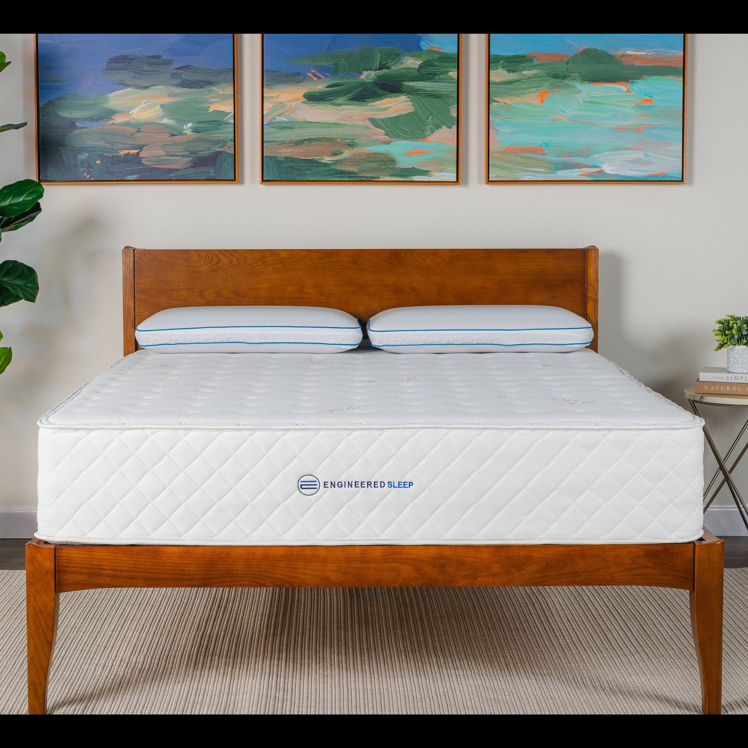 Mattress on a wooden bed frame with a plant and wall art in the background
